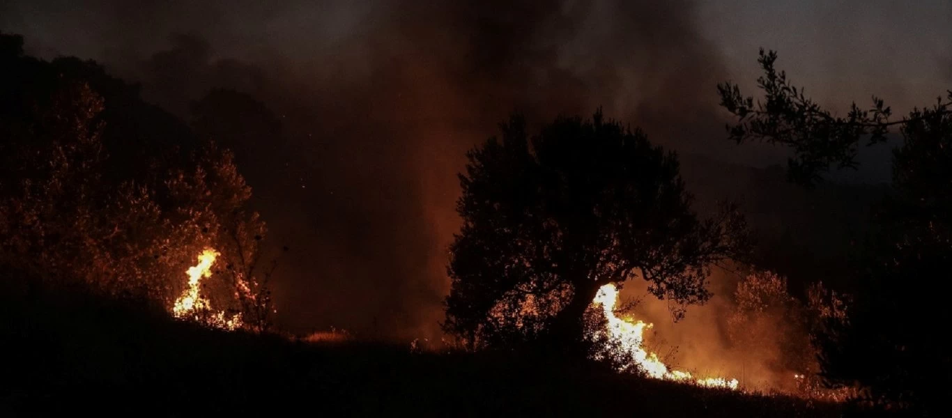 Κεφαλονιά: Ξέσπασε πυρκαγιά κοντά στην Αγία Ειρήνη (βίντεο)